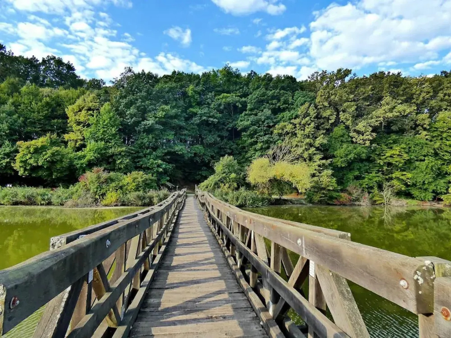 Z8 Prémium Apartman