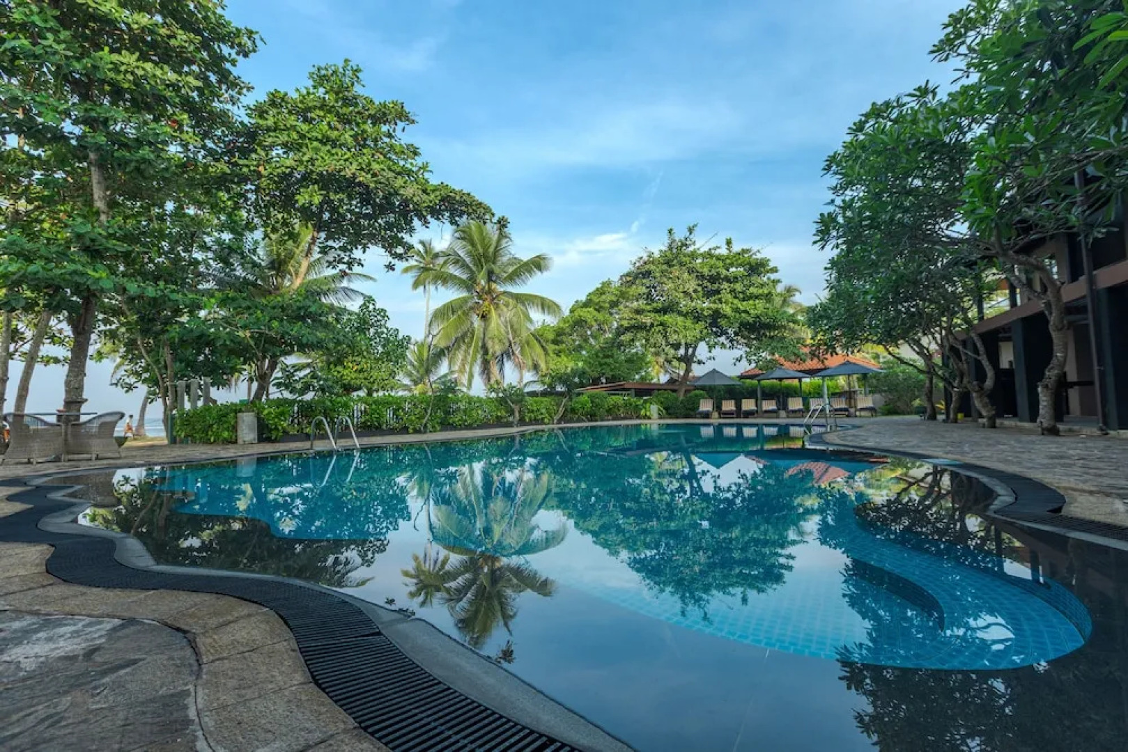 Taprospa  Footprints"