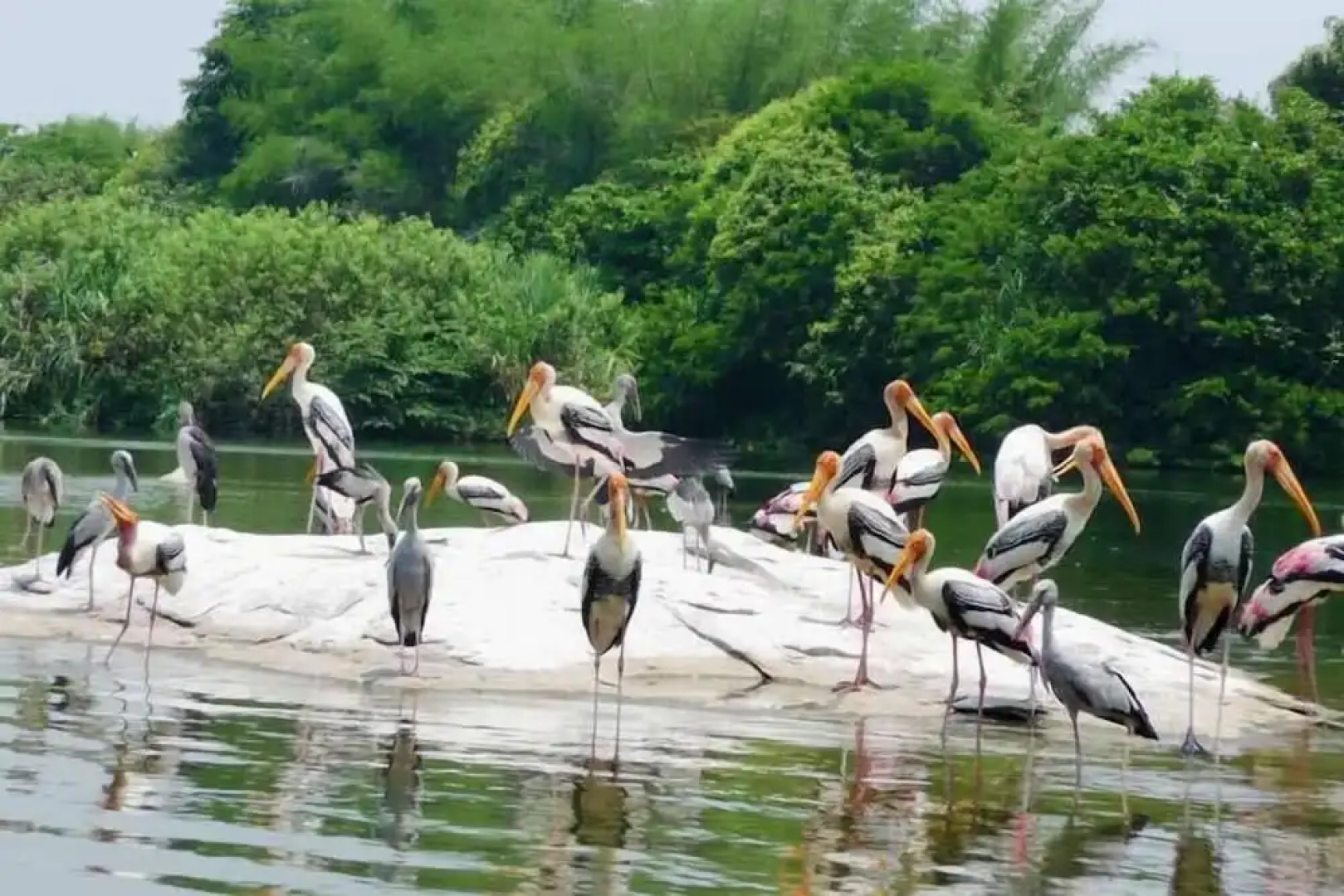 Radisson Plaza Resort & Spa