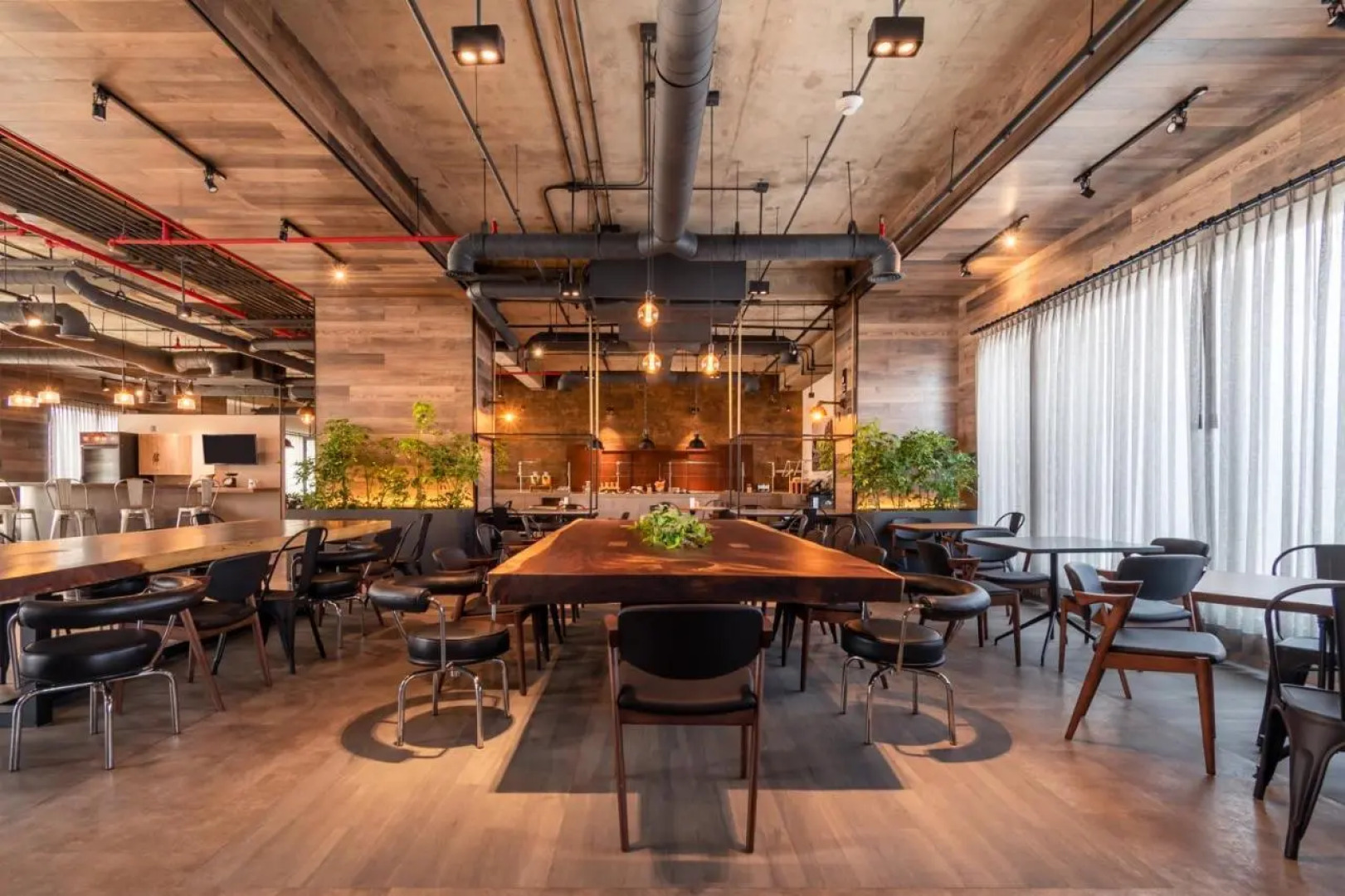 City Express Plus by Marriott Mexicali