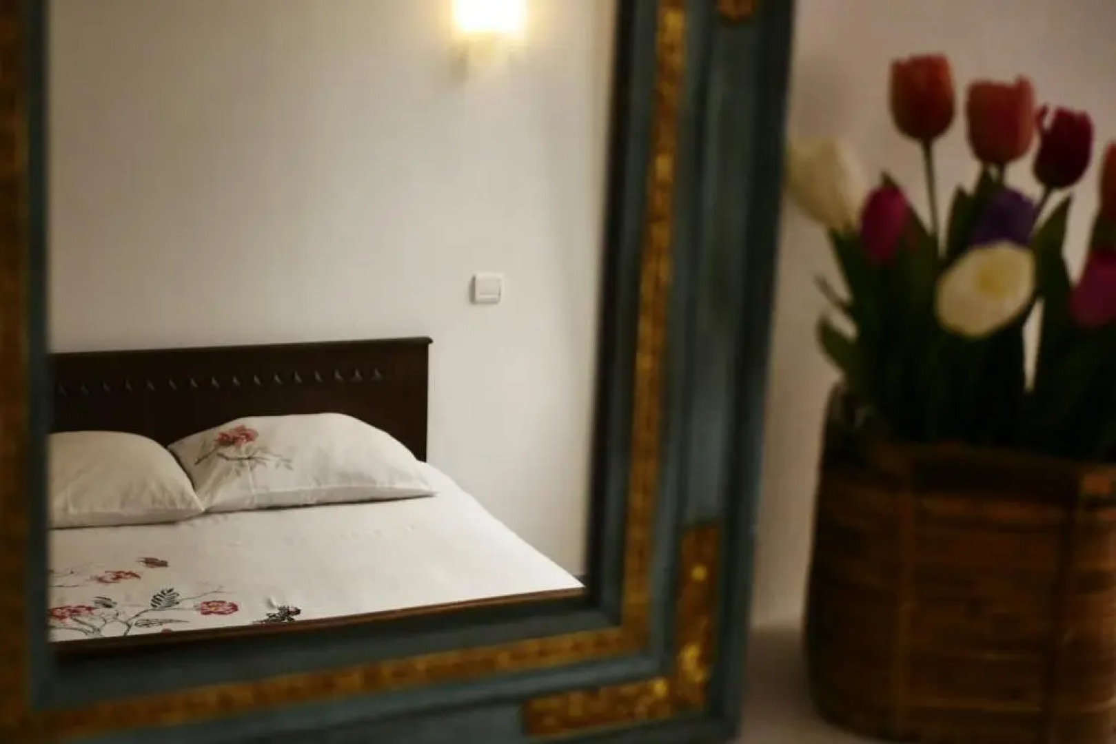 Les Oiseaux de Passage