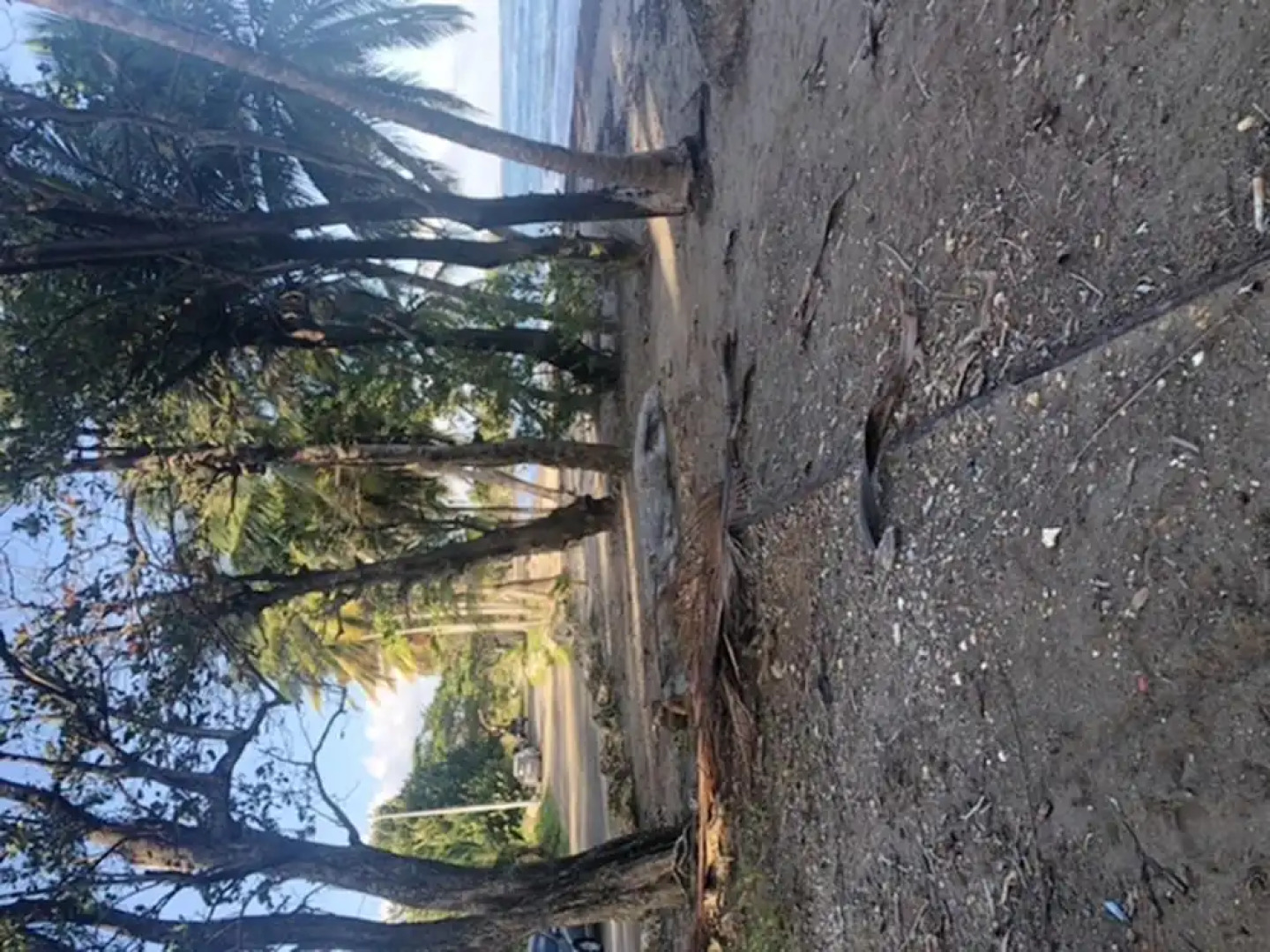 House With 3 Bedrooms in Goyave, With Wonderful sea View, Furnished Terrace and Wifi - 1 km From the Beach