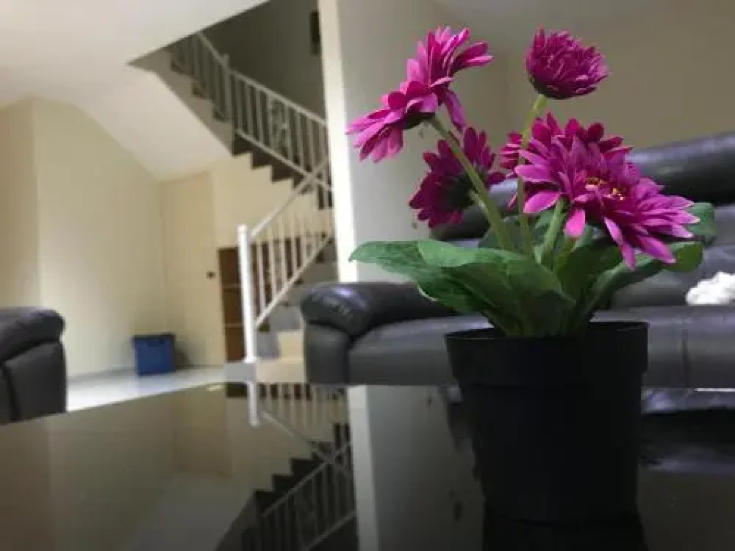 D’Resort Home Stay