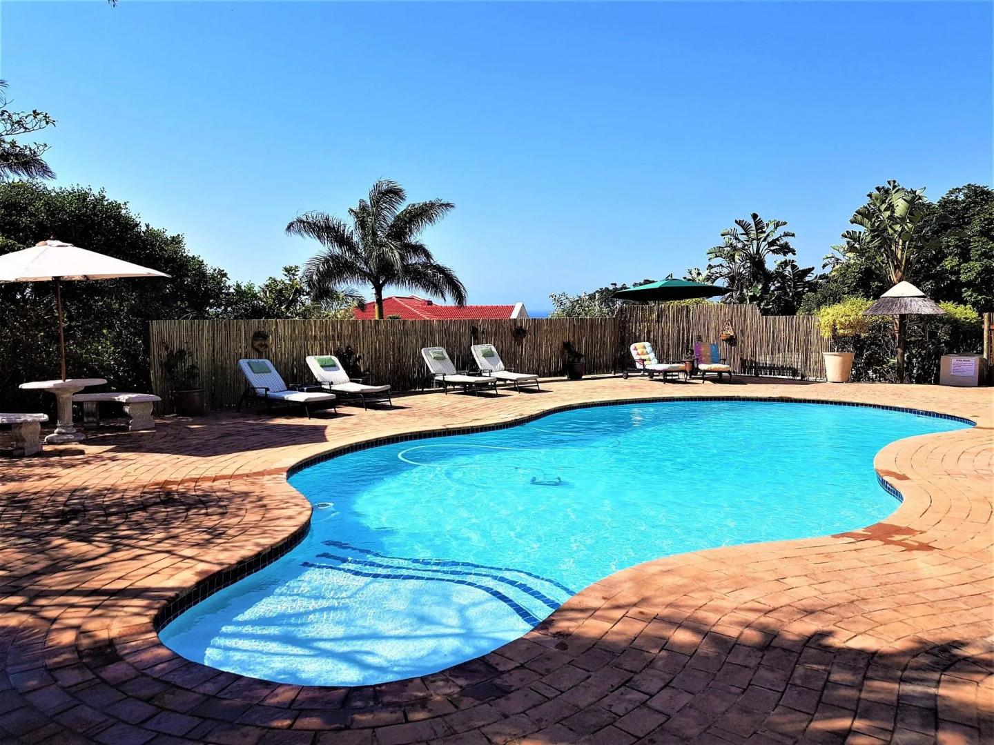 Sunbirds Bed & Breakfast