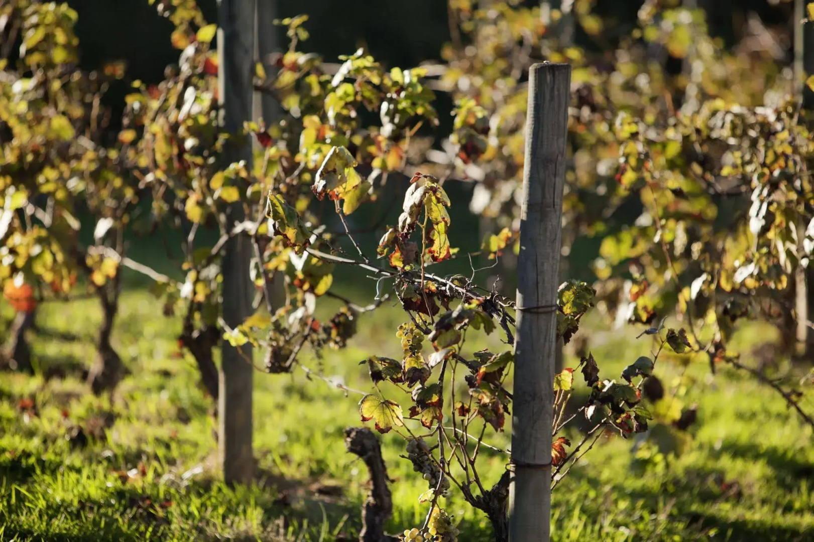 ibis budget Pouilly-en-Auxois