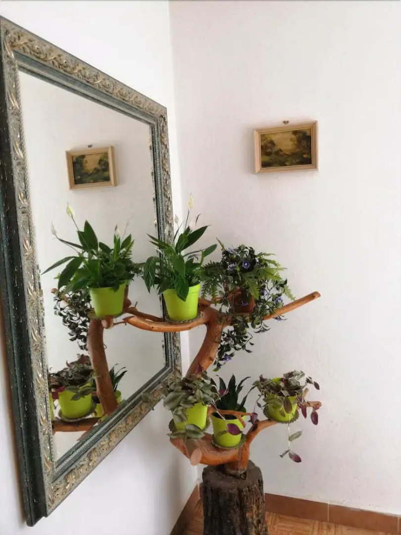 Penzion Medvedi Brloh Remata