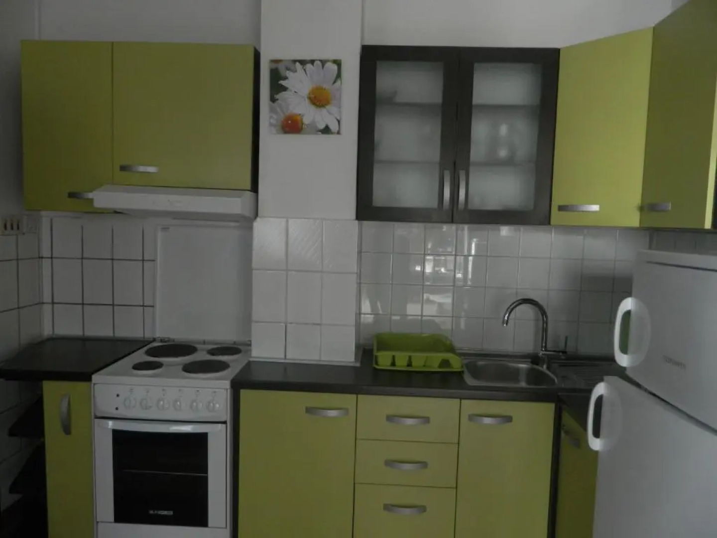 Apartments Vila Palma