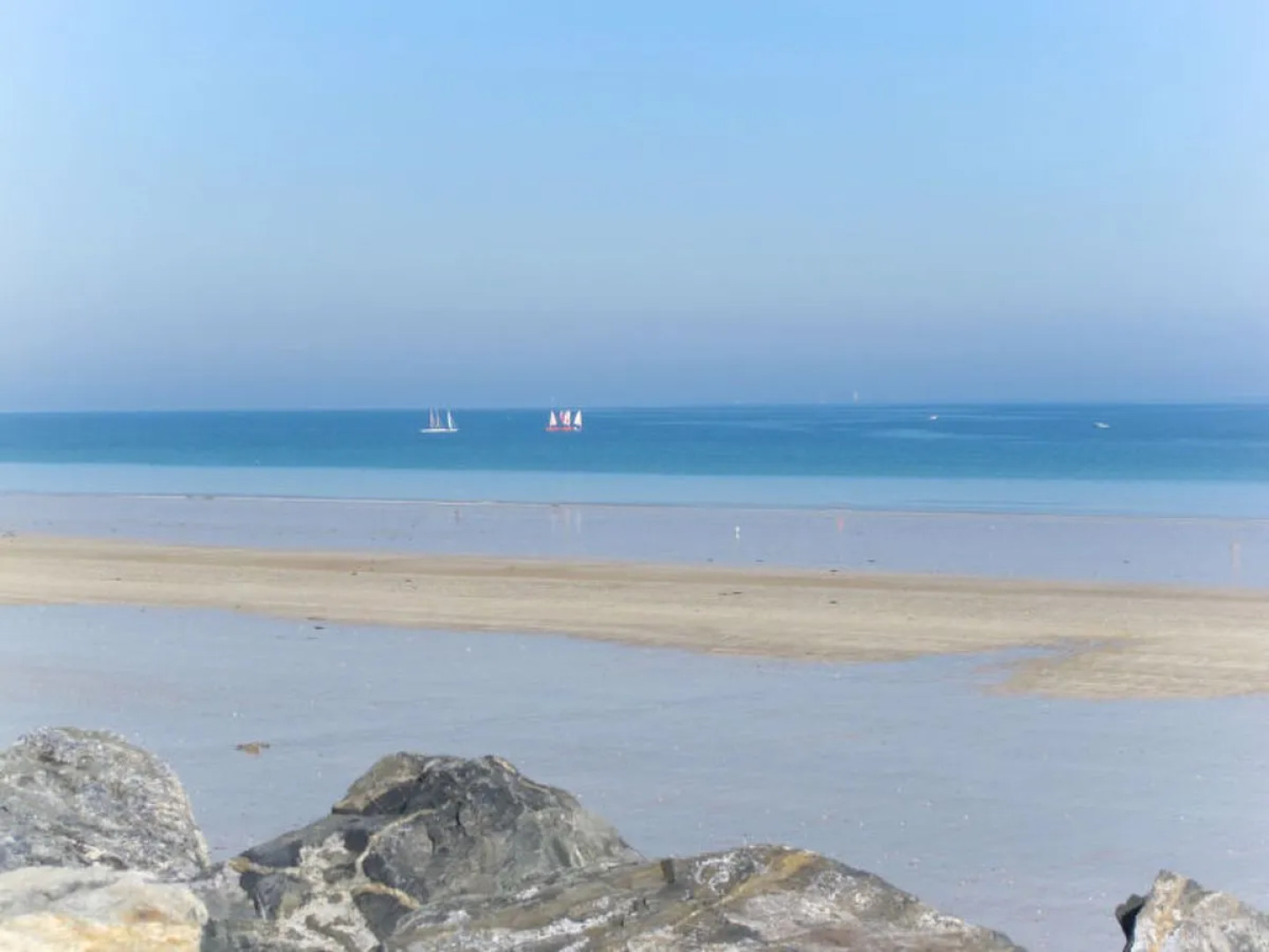 Le Cedre Bleu (PLX107)