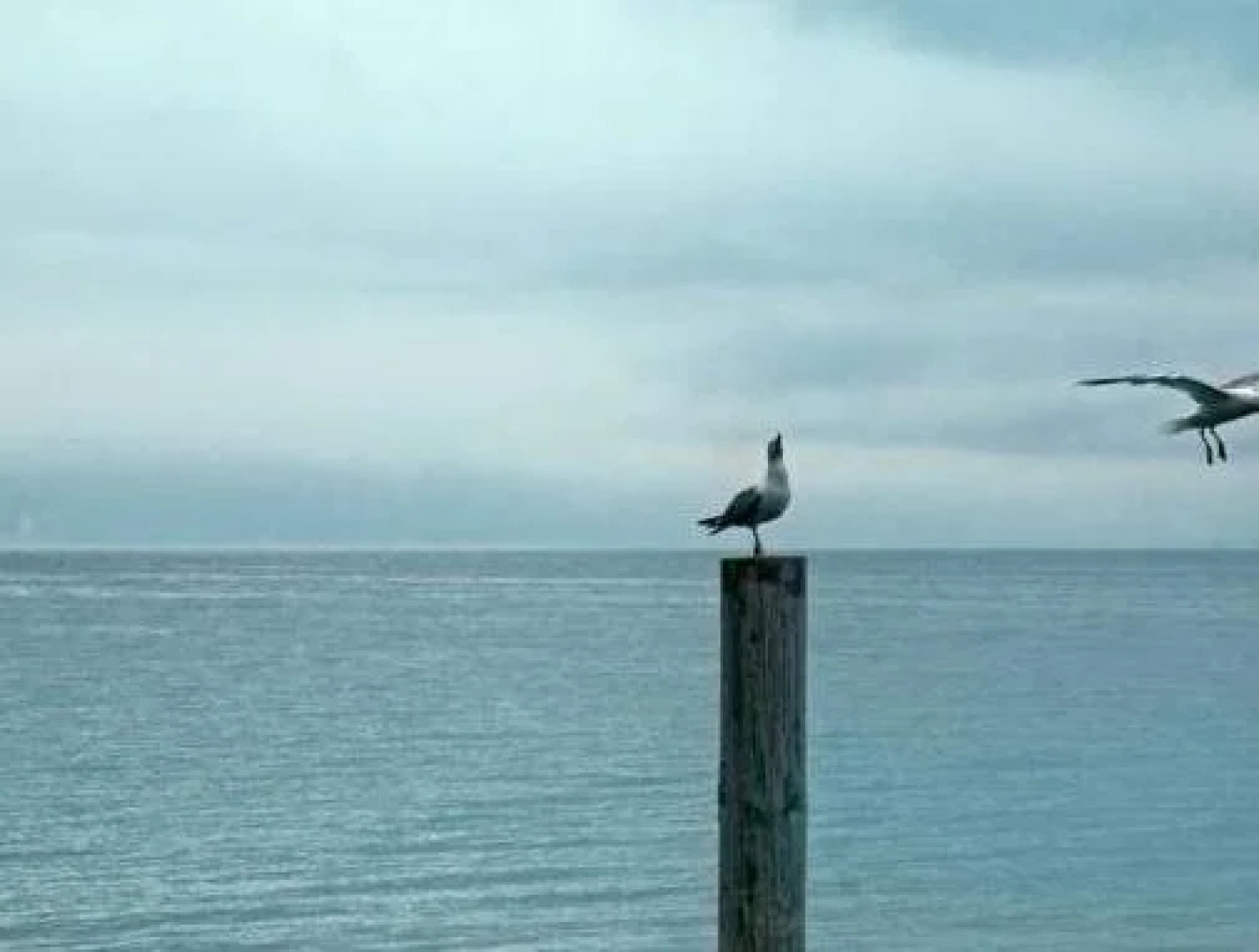 Hotel Au Major Davel