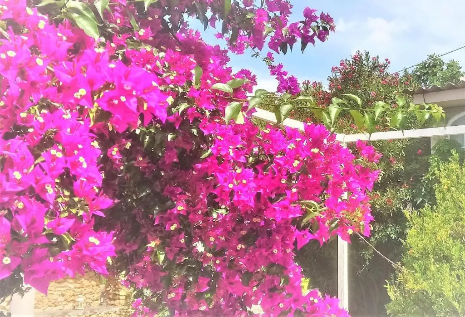 Les Jardins de Bormes, adult-only hotel with sauna & jacuzzi