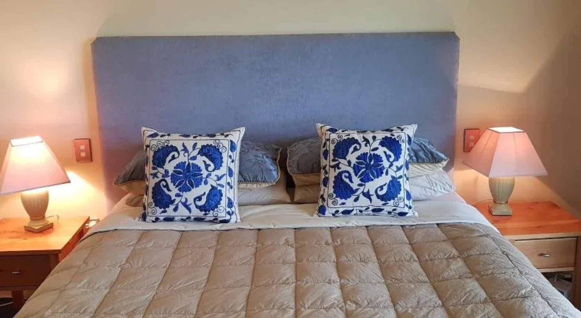 Hawkdun Rise Vineyard & Accommodation