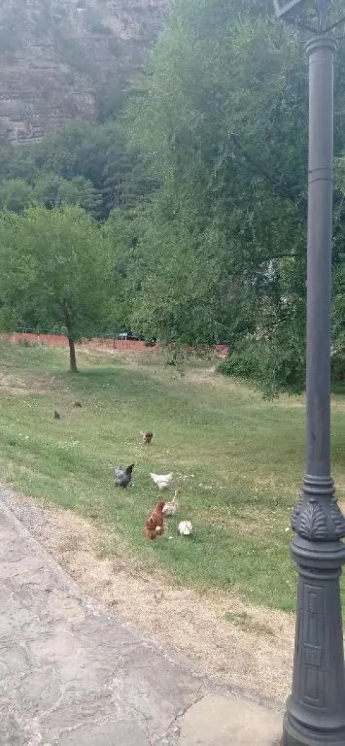 Apartamento Albareda