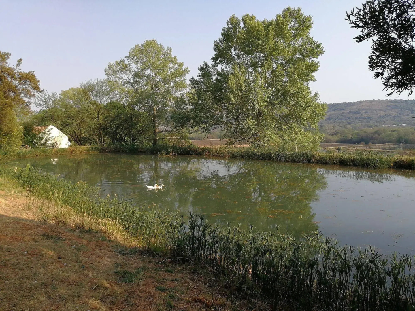 Budmarsh Country Lodge