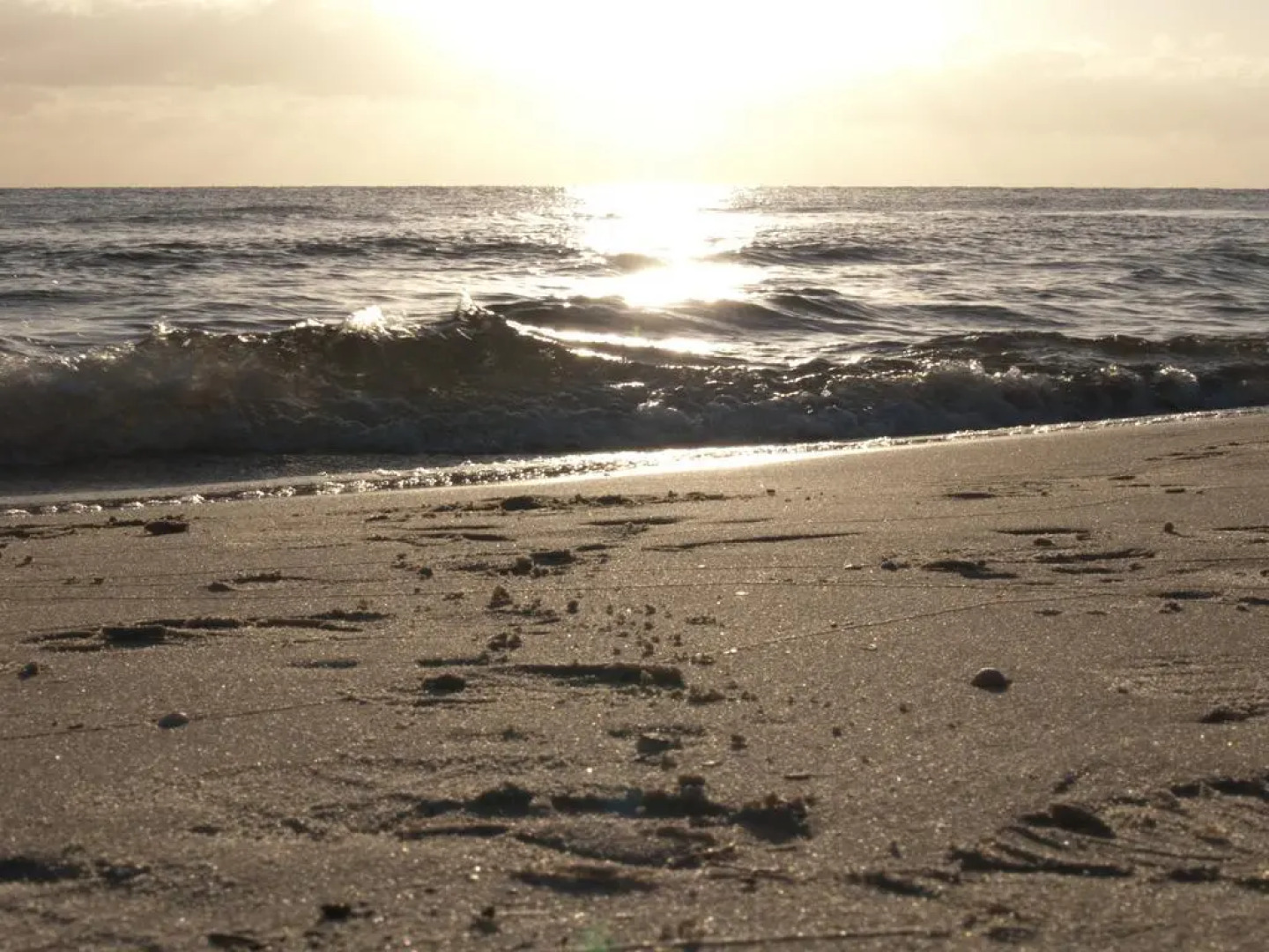 Hotel Garni Kormoran