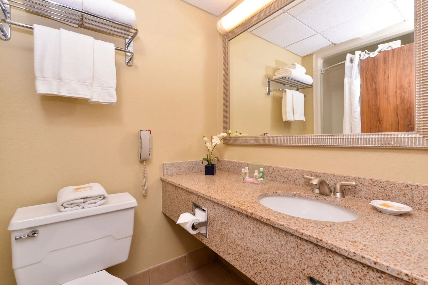 Red Lion Hotel Albany