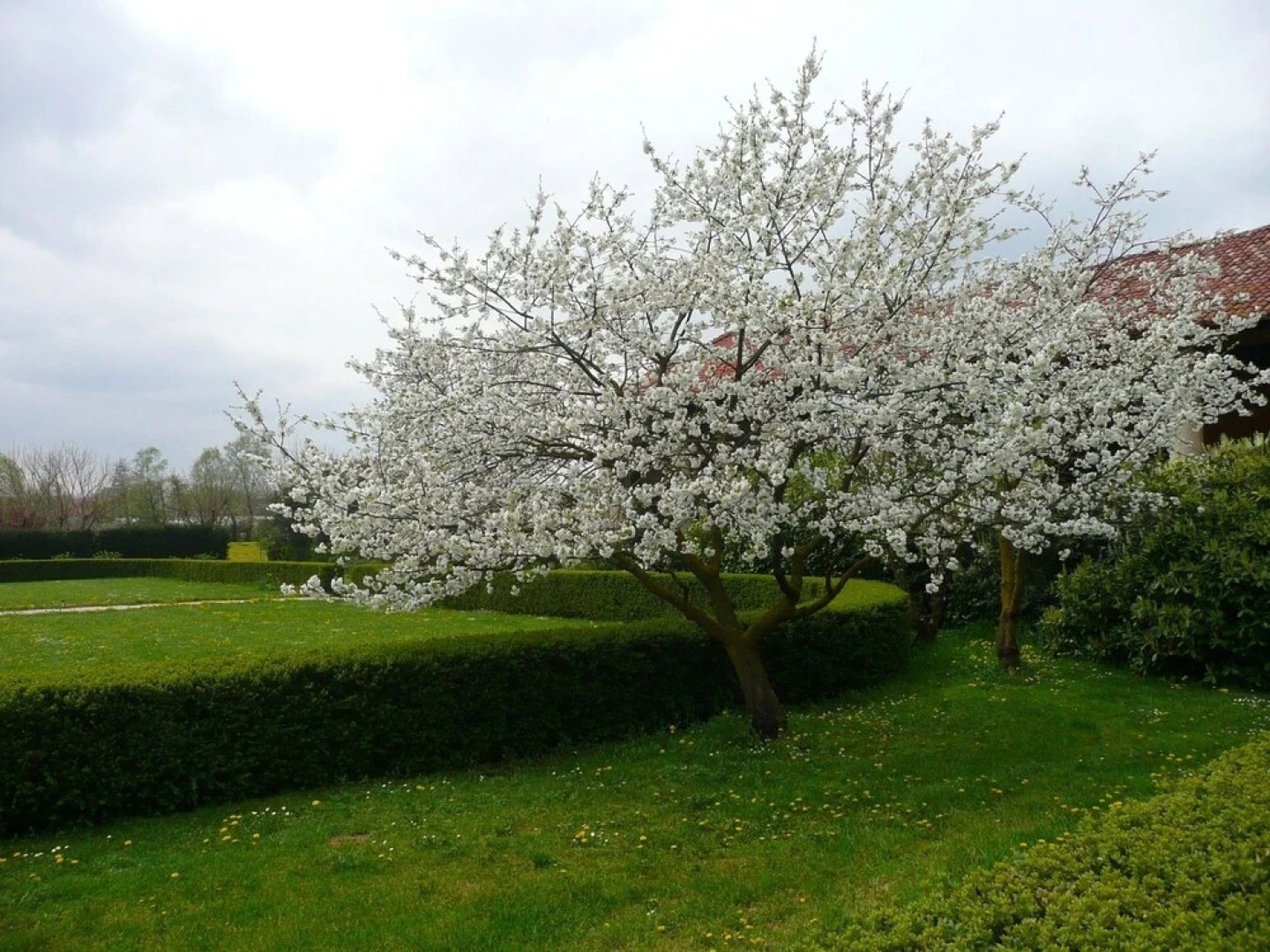 B&B Villa Trissino-Rossi
