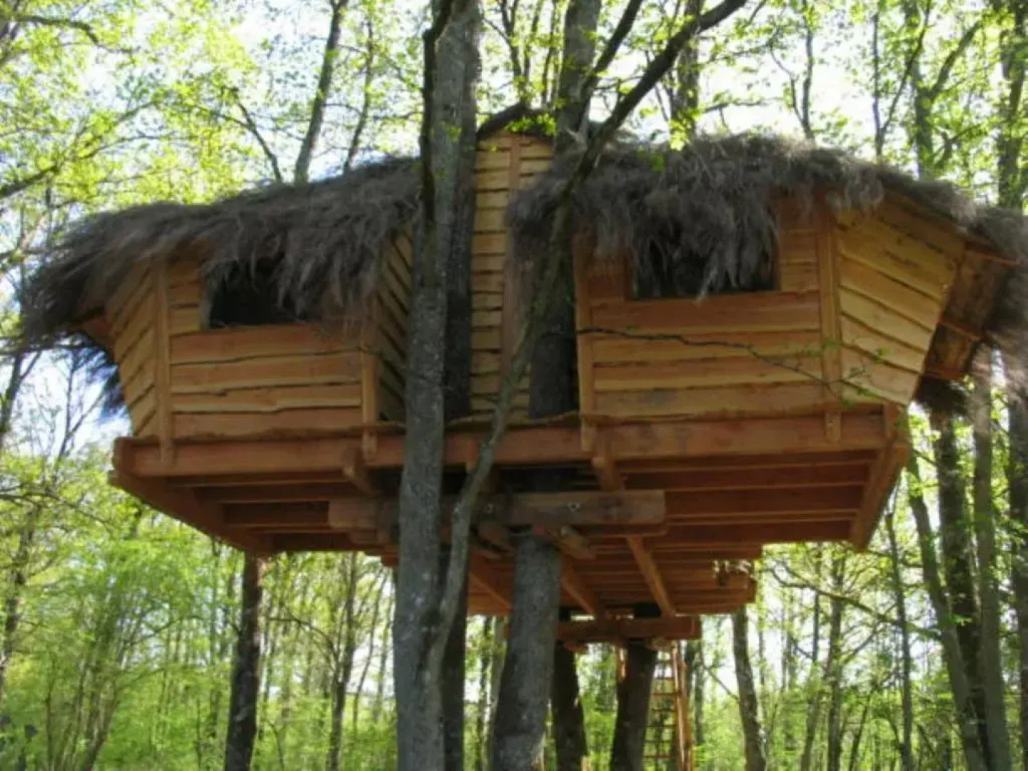 Une Nuit aux Lierres...