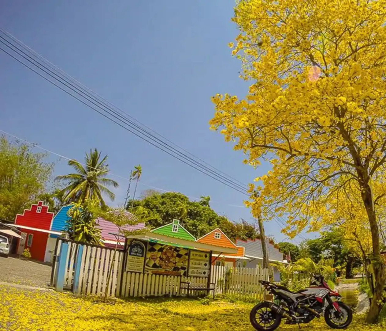 Bike Resort ChiangMai