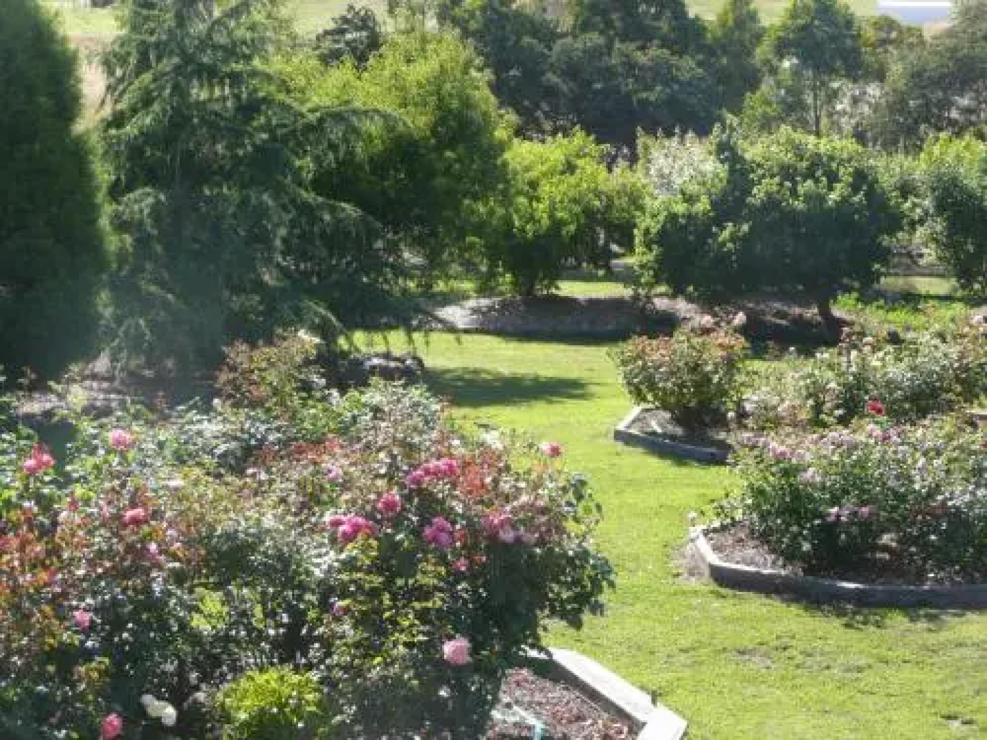 Wisteria Lodge Bed and Breakfast