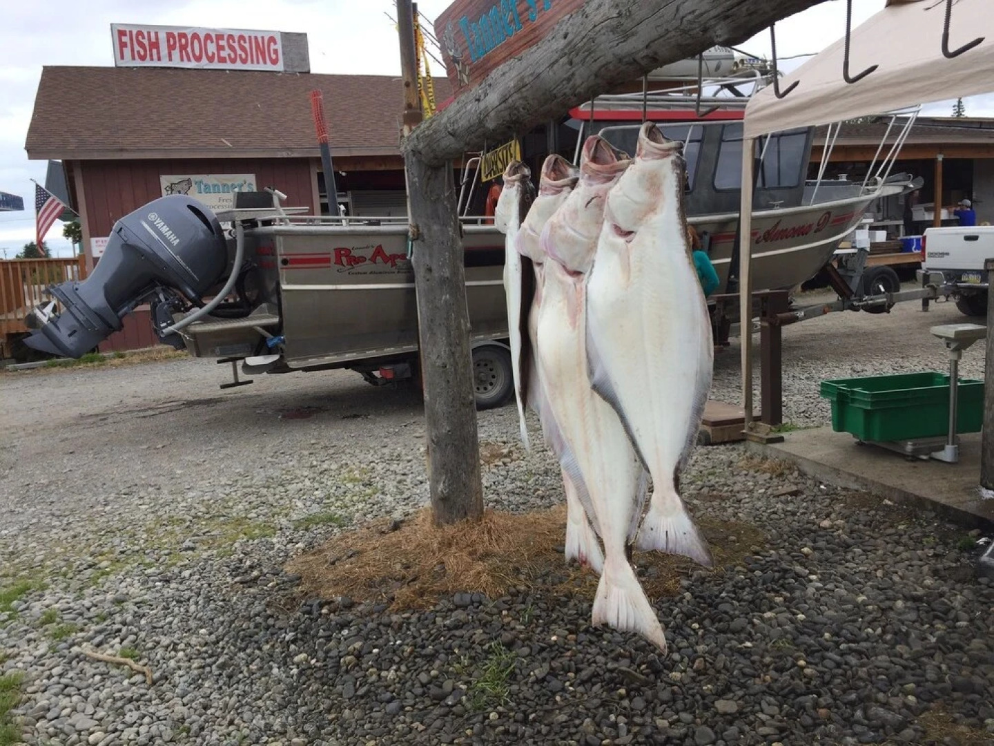 Ninilchik132.6 cabins and Rv park