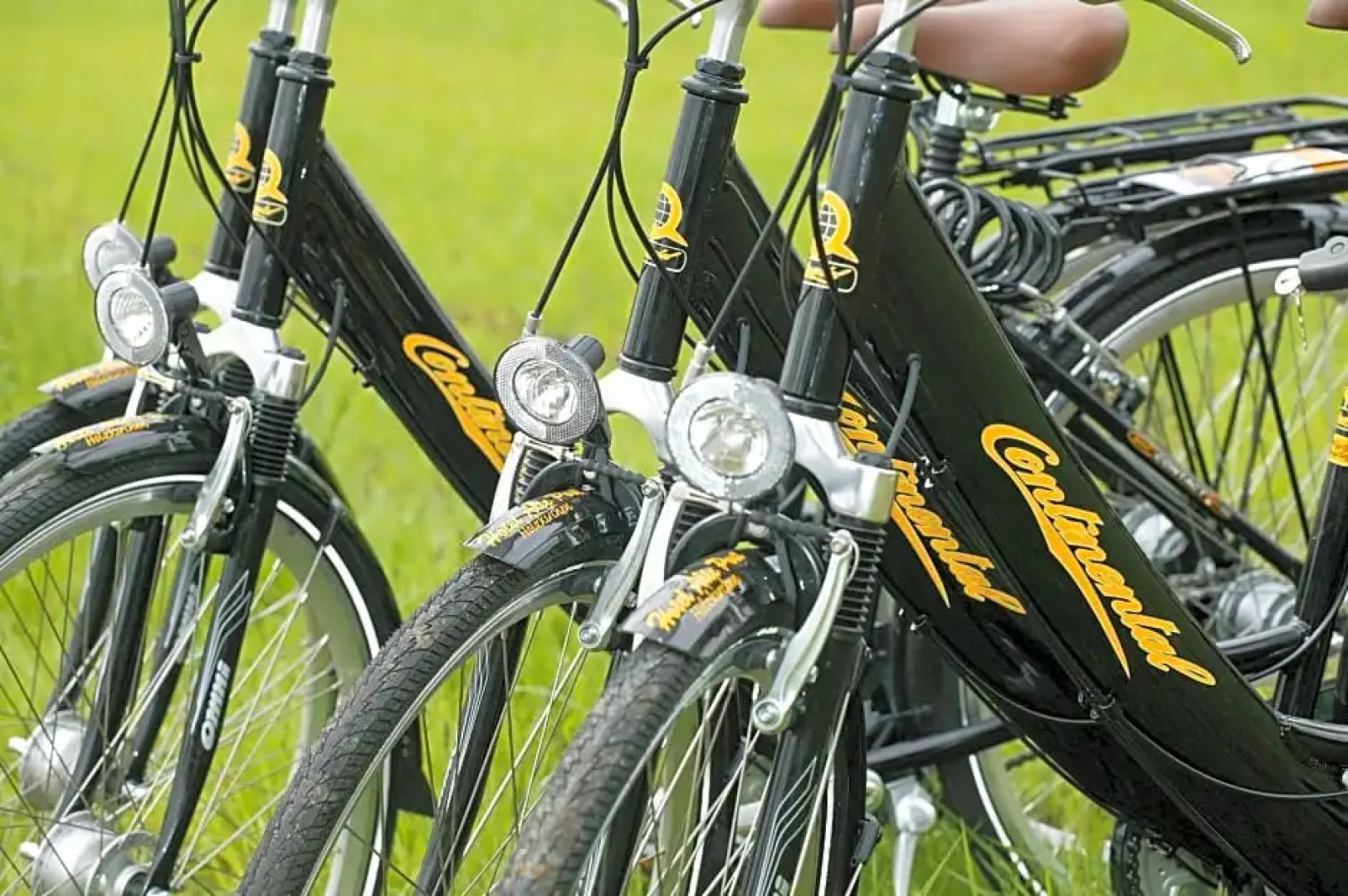 Hotel Gasthof Alte Post Holzkirchen