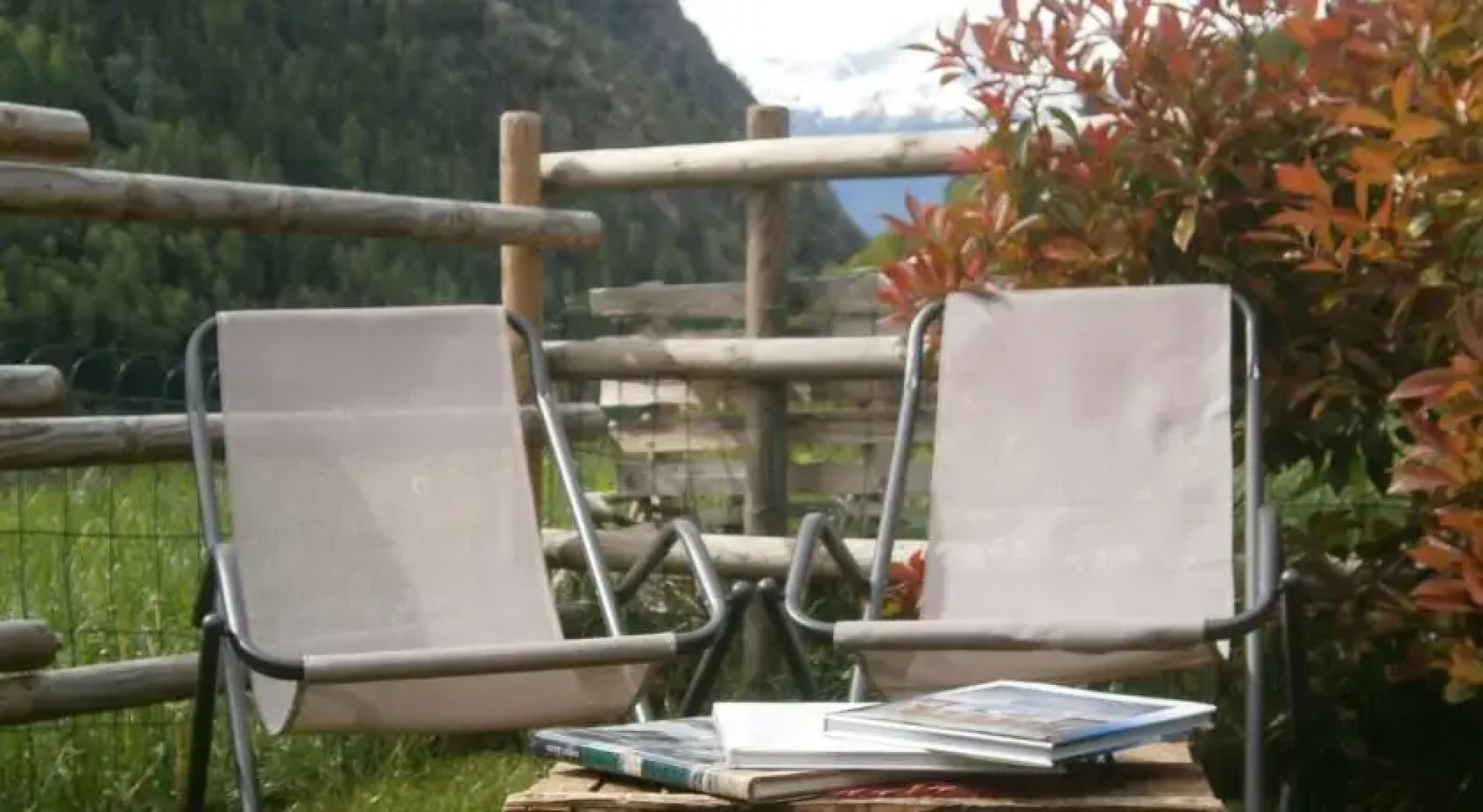 B&B Il Canto del Bosco