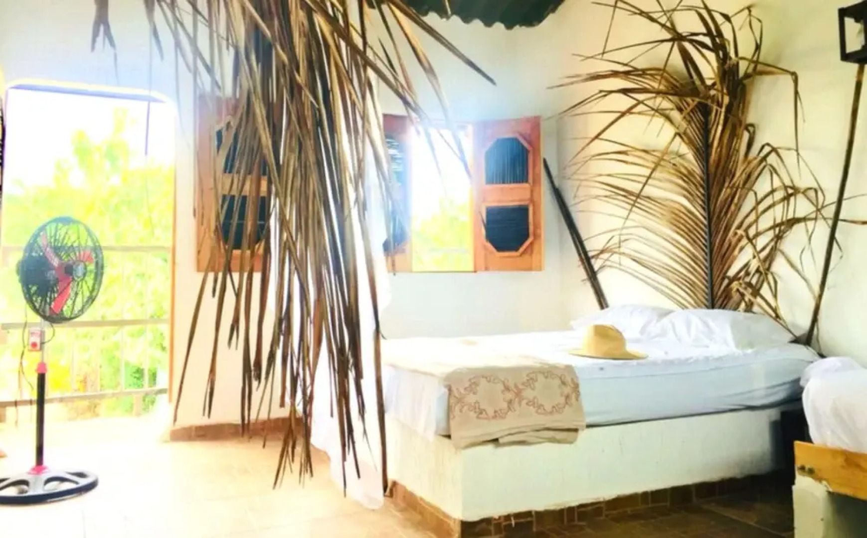 Palomino Hostel by T2L