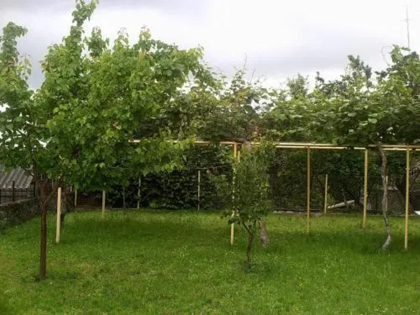 House in Lagodekhi 1.7km f Lagodekhi Nature Reserve