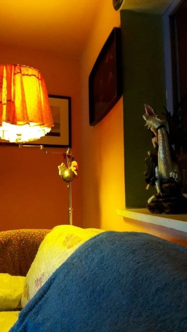 Guest House Drago Bianco