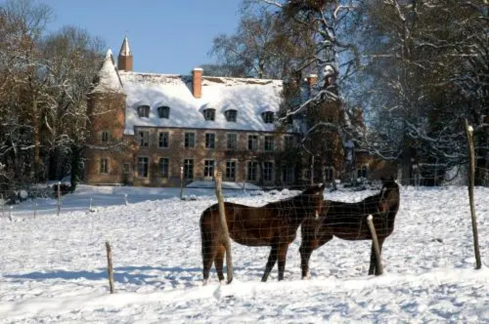 Château de Paray le Frésil
