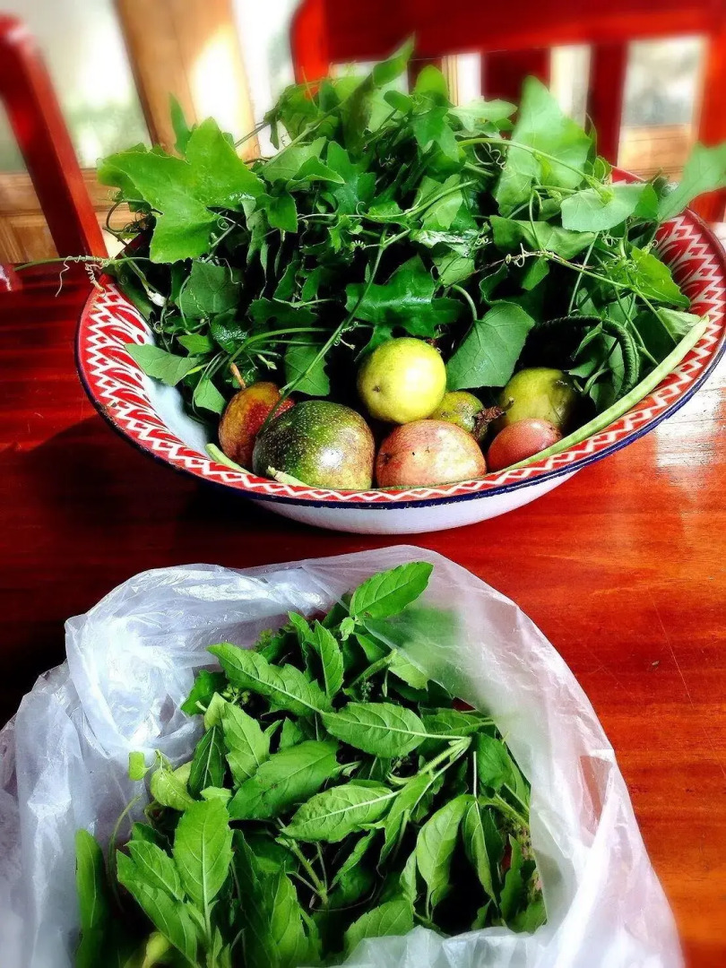 Baan Somlim Homestay.