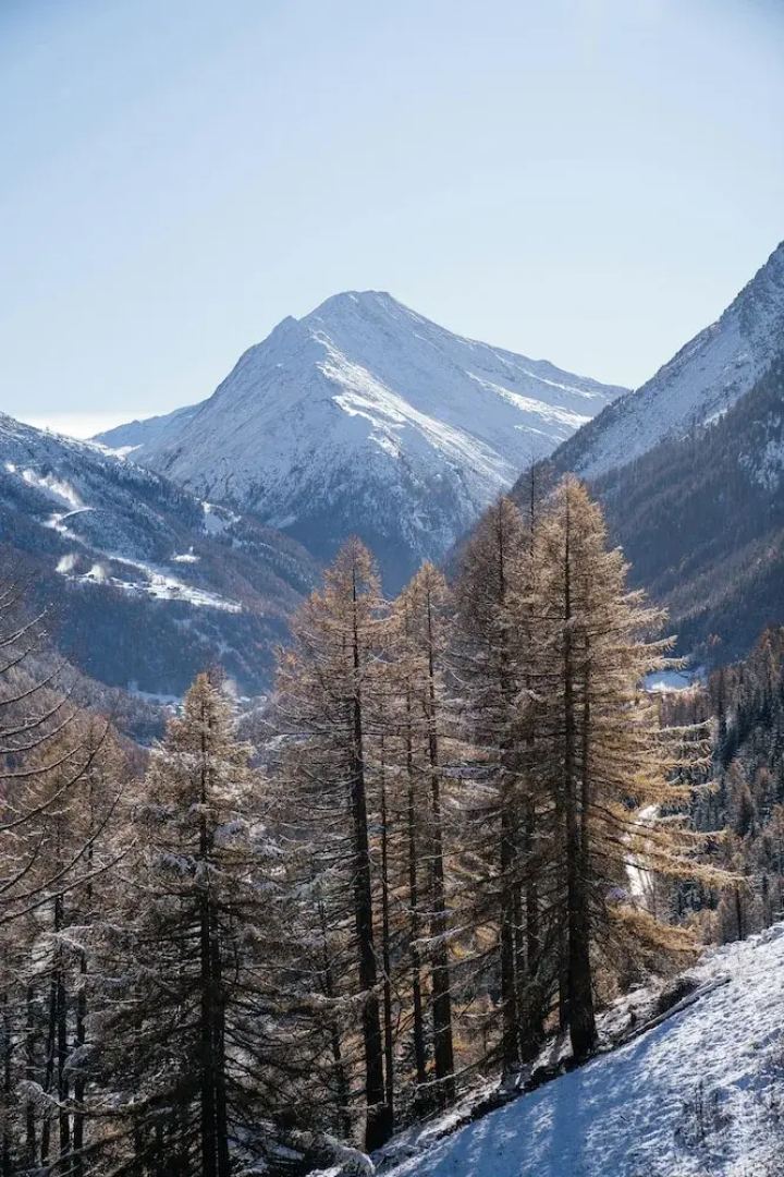 Waldhotel Fletschhorn - Panoramic Retreat in Saas Fee