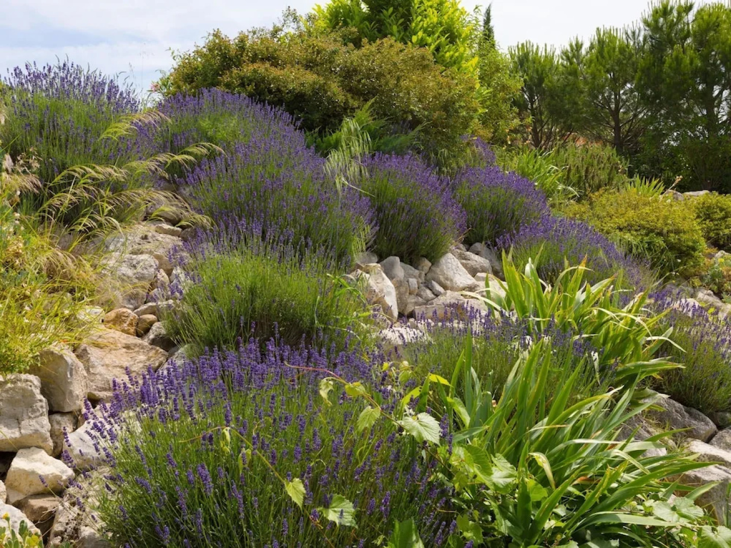 Spacious Villa With Private Swimming Pool and Jacuzzi