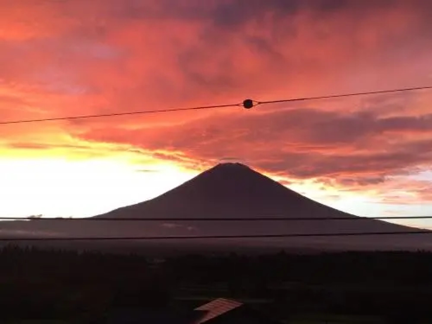 Business Hotel Kanekura