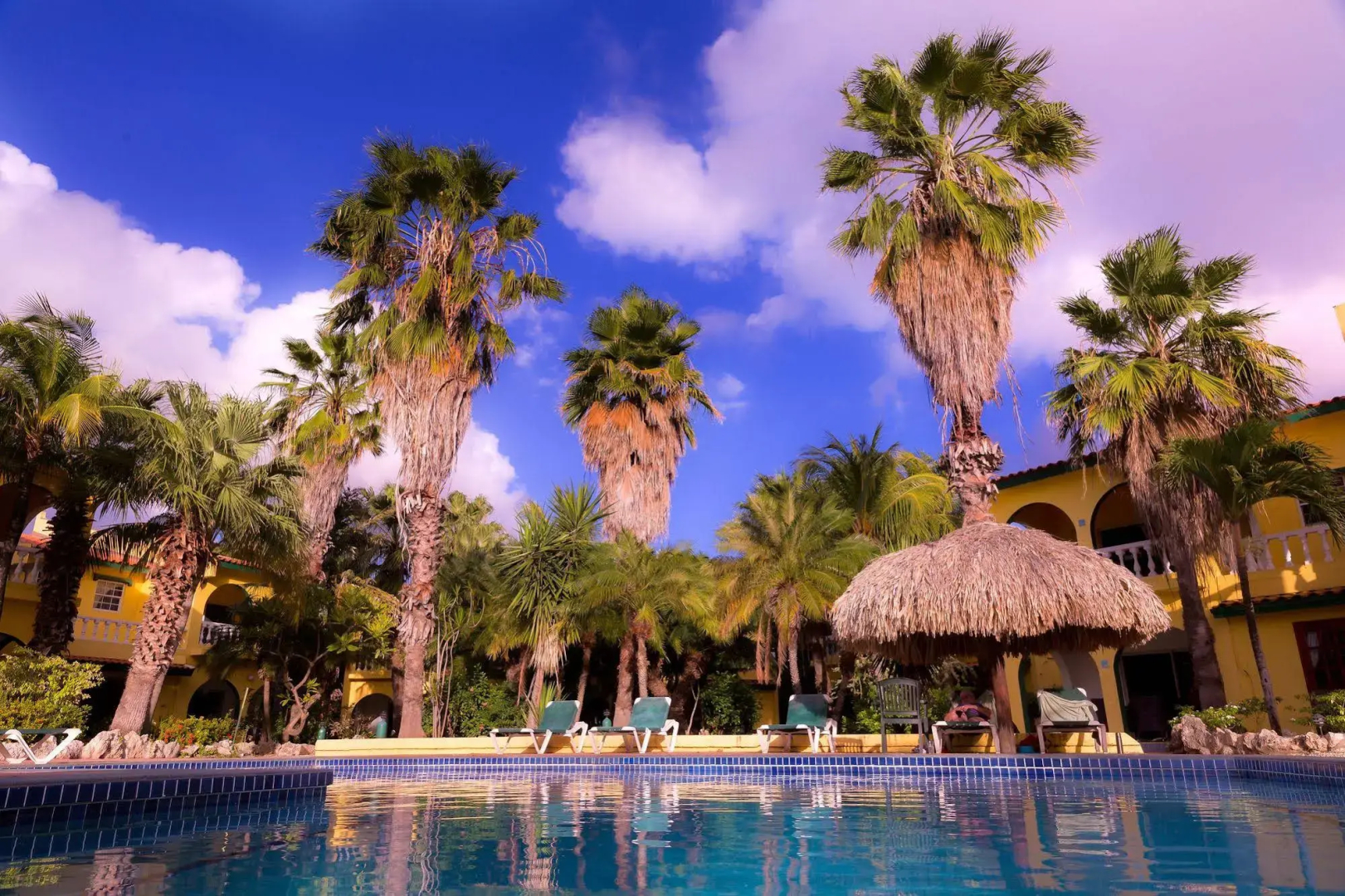 Buddy Dive Resort