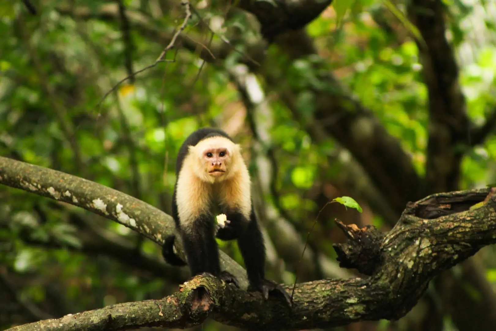 Trujillo Beach Eco-Resort