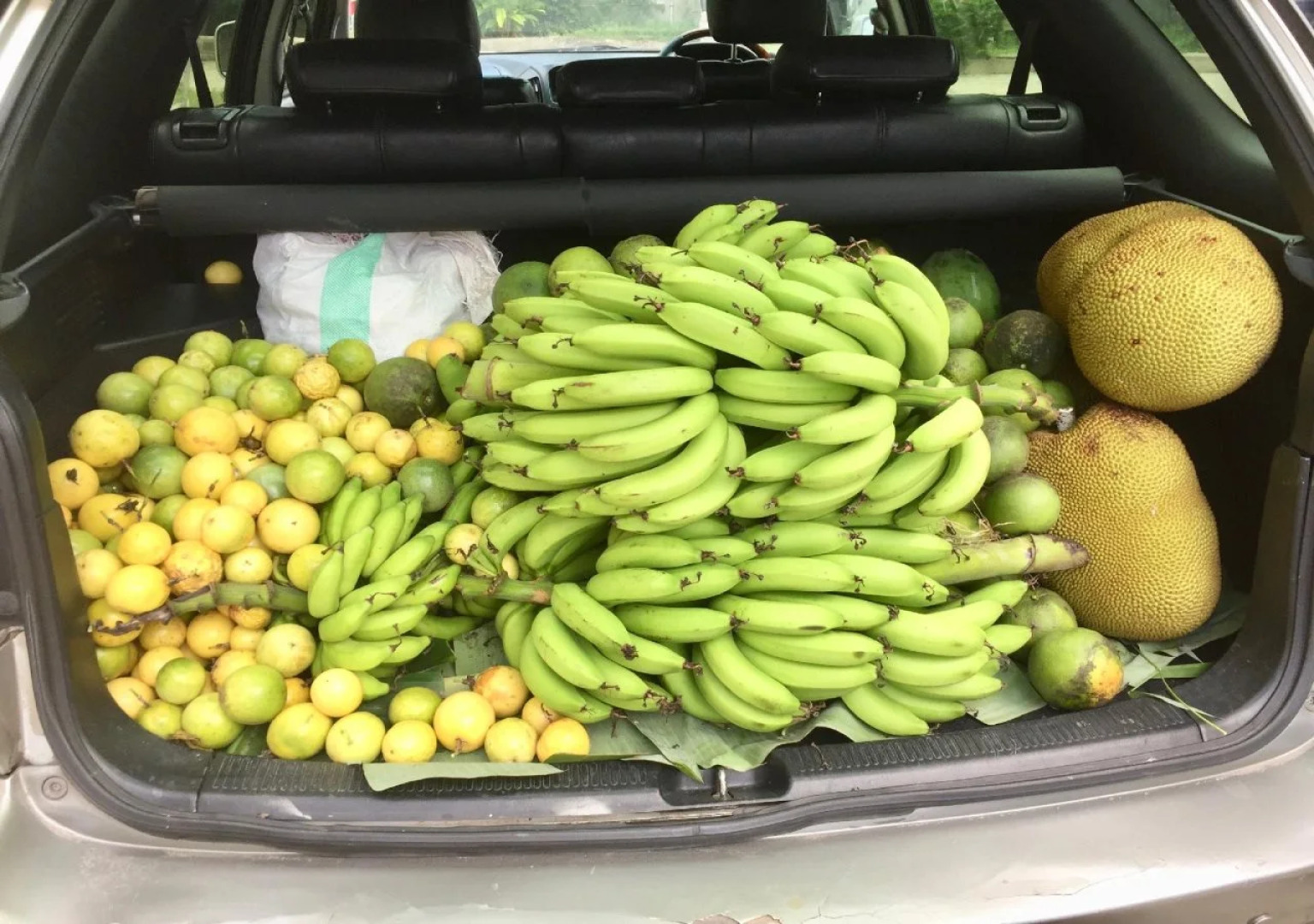 Oceanic Bay Hotel & Resort