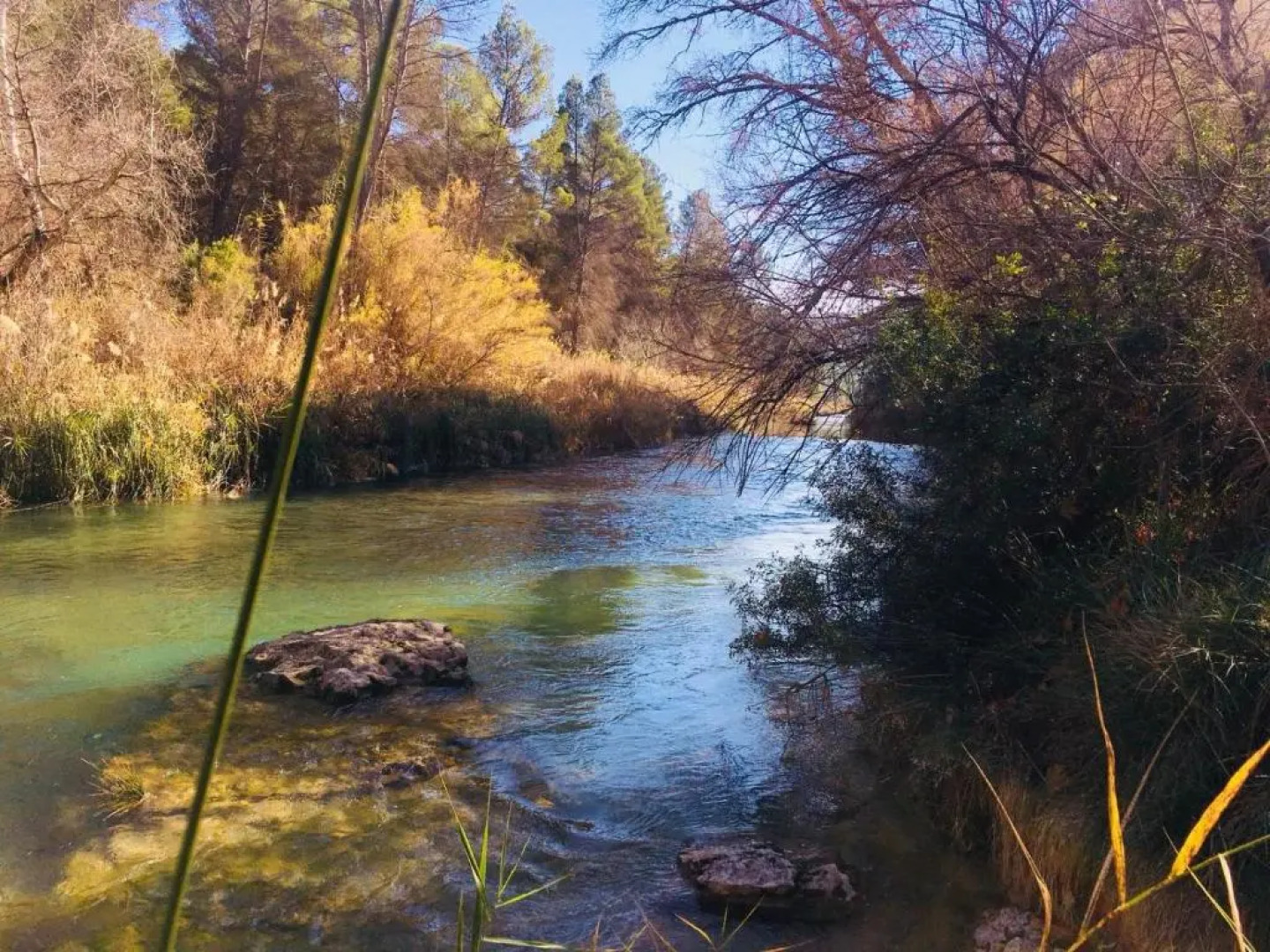 Casa Rural La Parra 1923 Requena