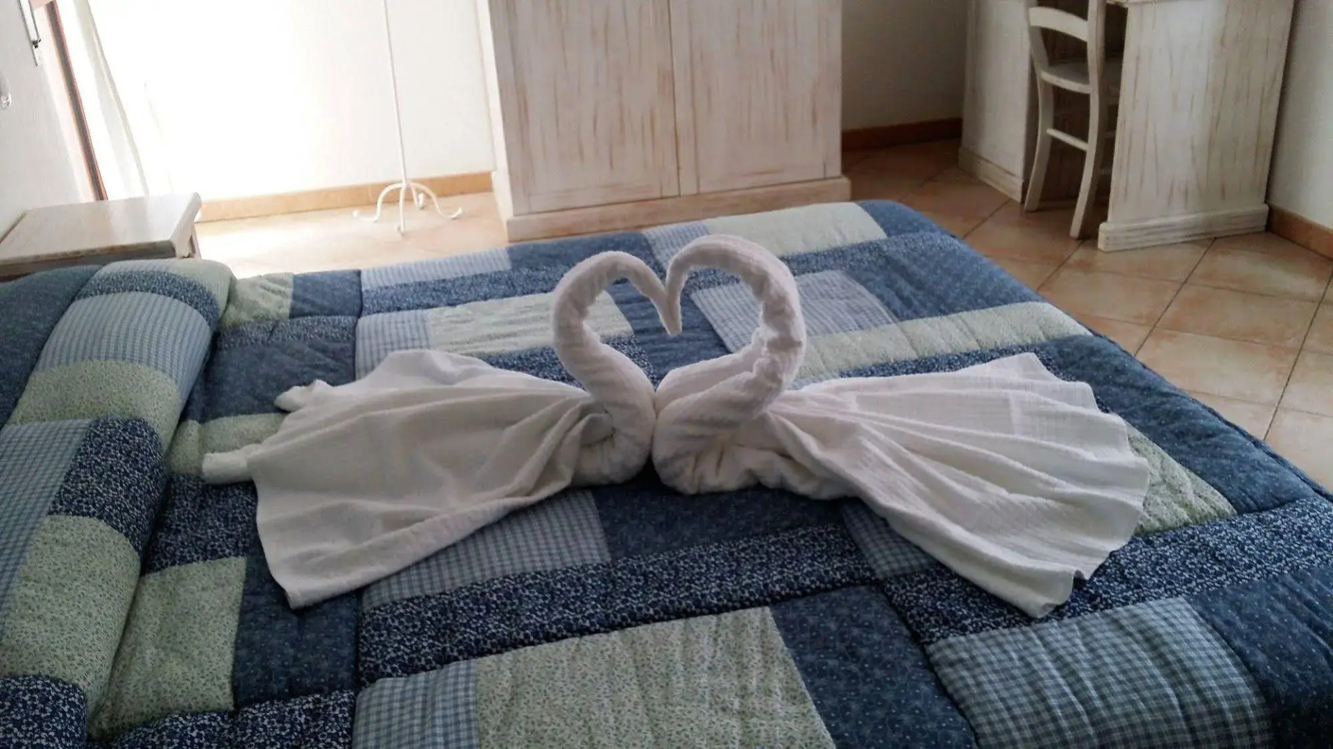 Hotel Tabby