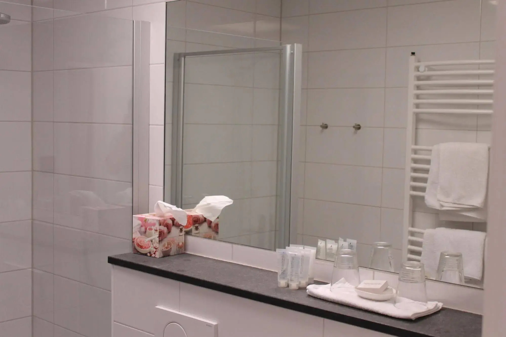 RheinHotel Arte