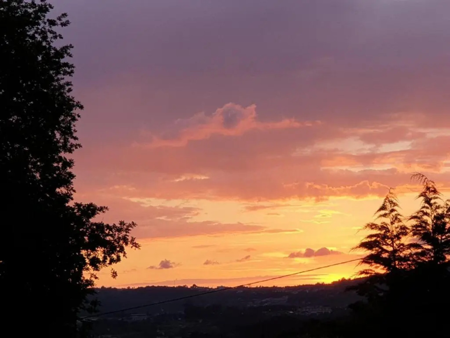 Quinta das Essencias