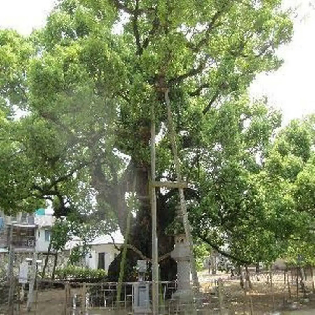 Zentsuji Grand Hotel