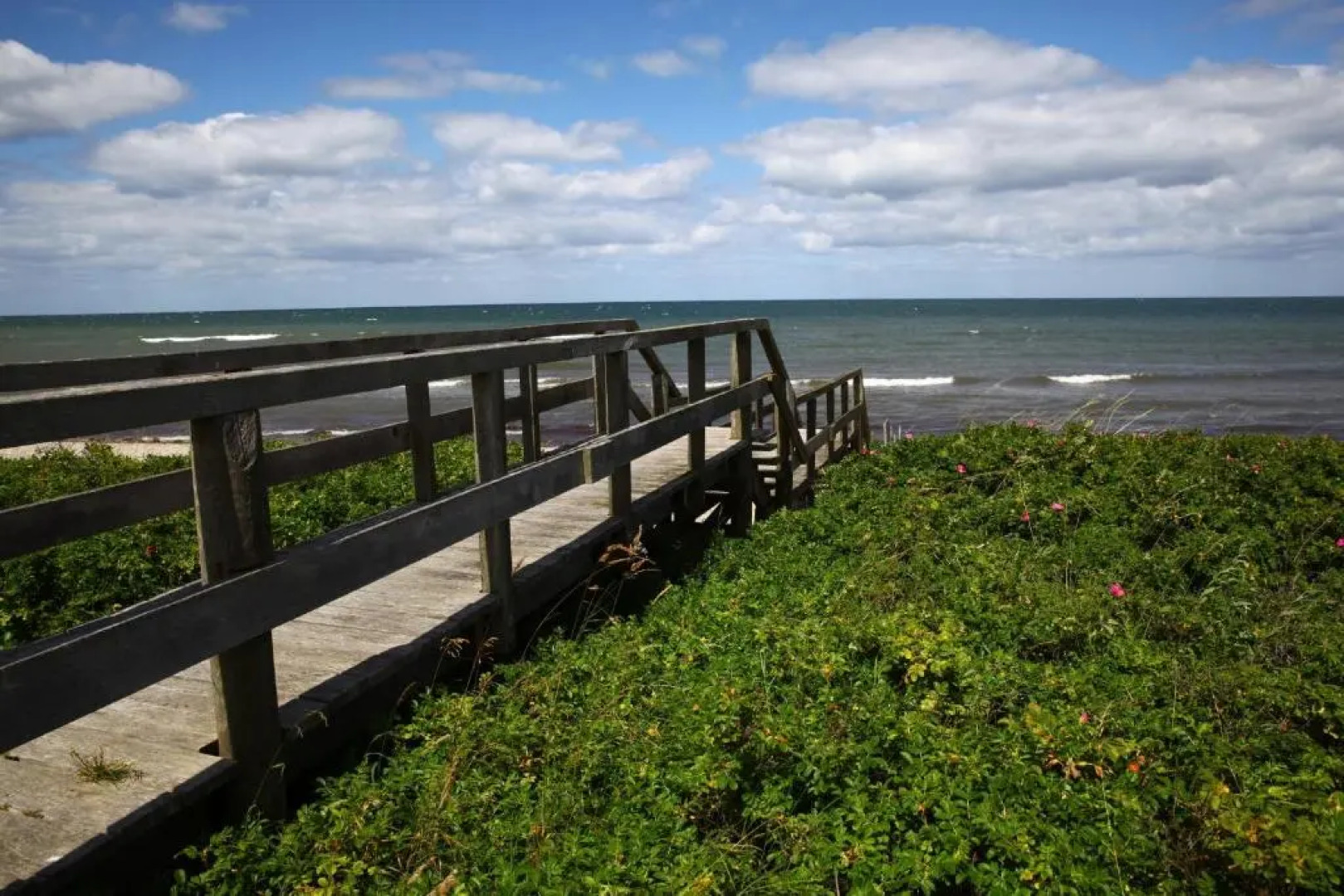 Haus Wildgans - Ferienwohnung Sonnenblume