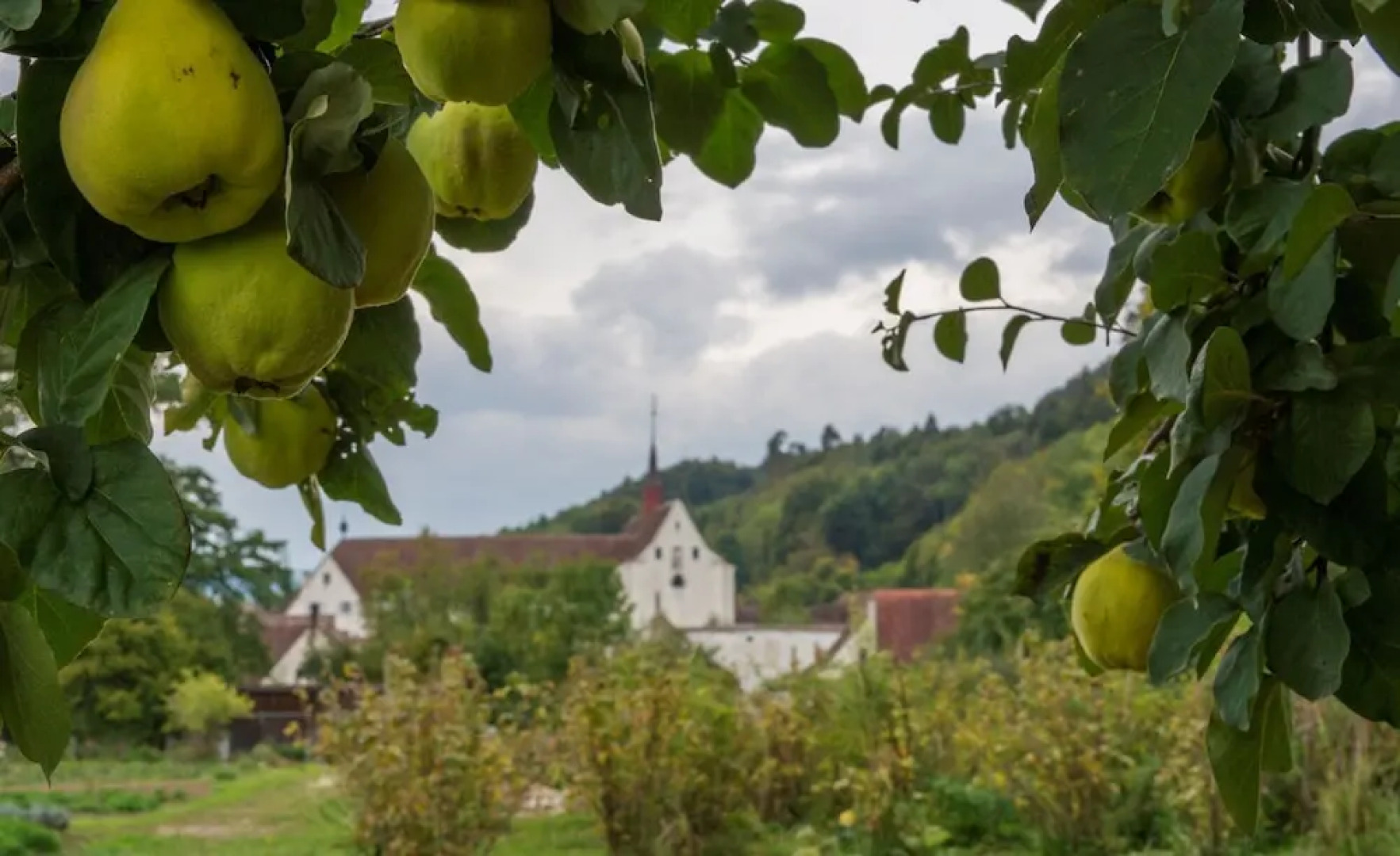 Stiftung Kartause Ittingen