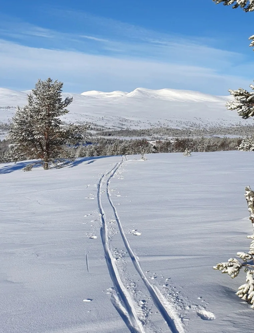Storsätra Fjällhotell