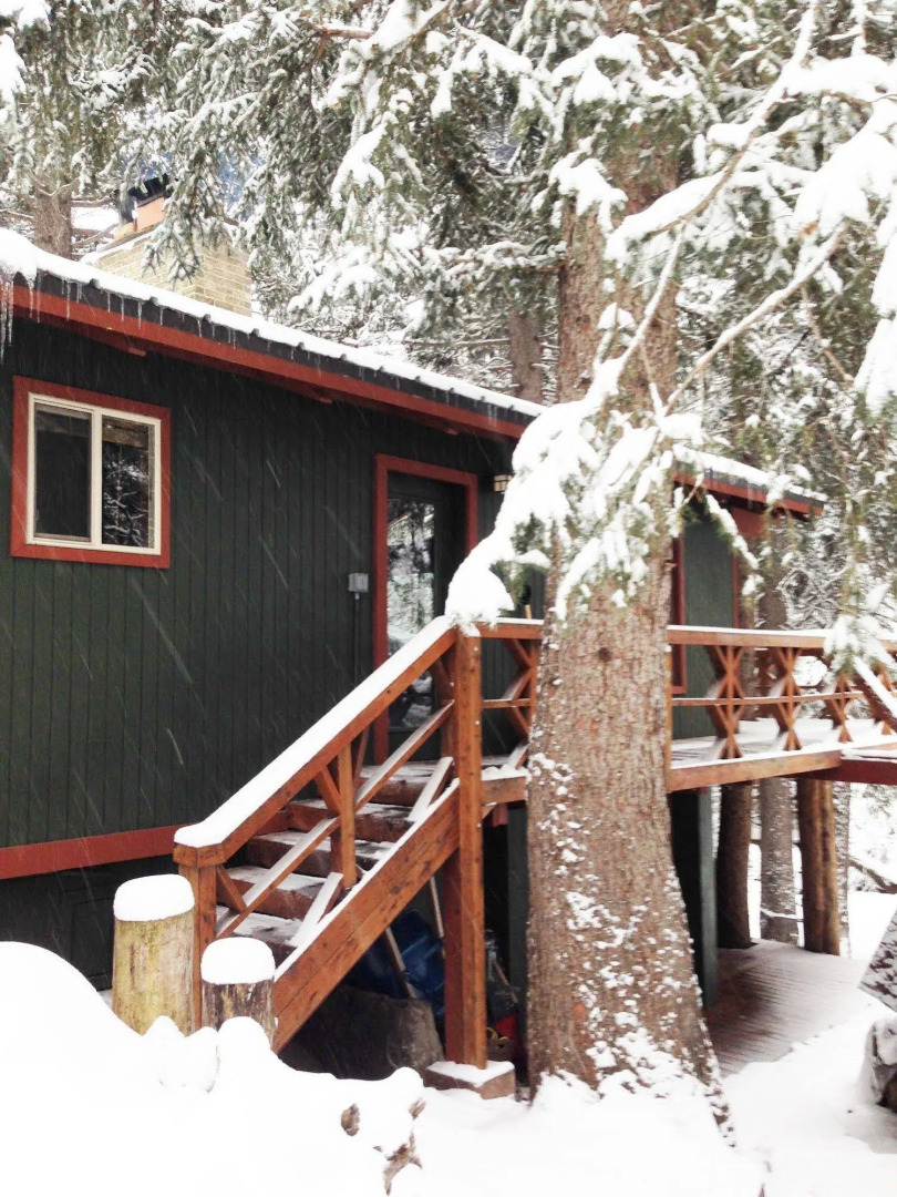 Treehouse by the Stream