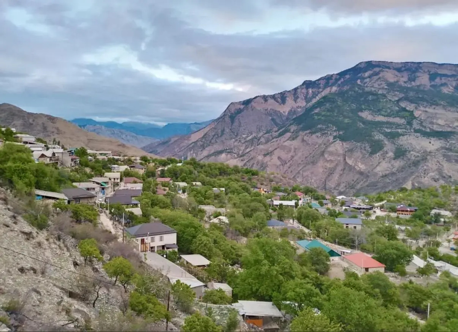 Родное гнездо