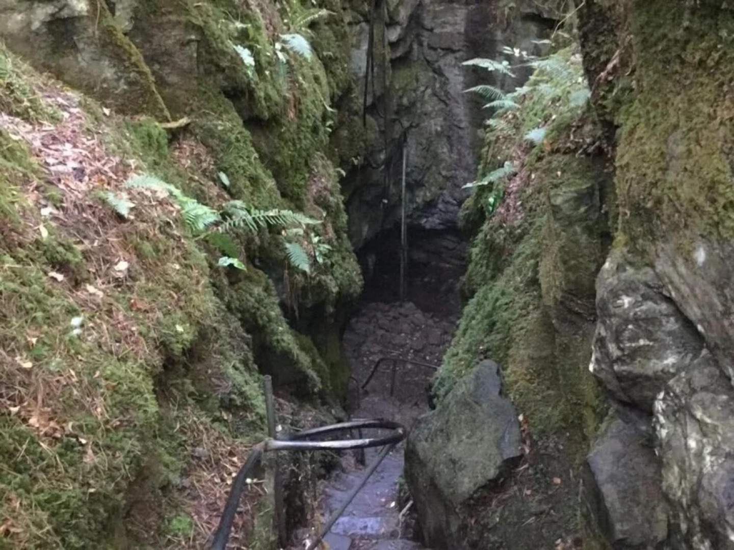 Ryan's River Lodge B&B