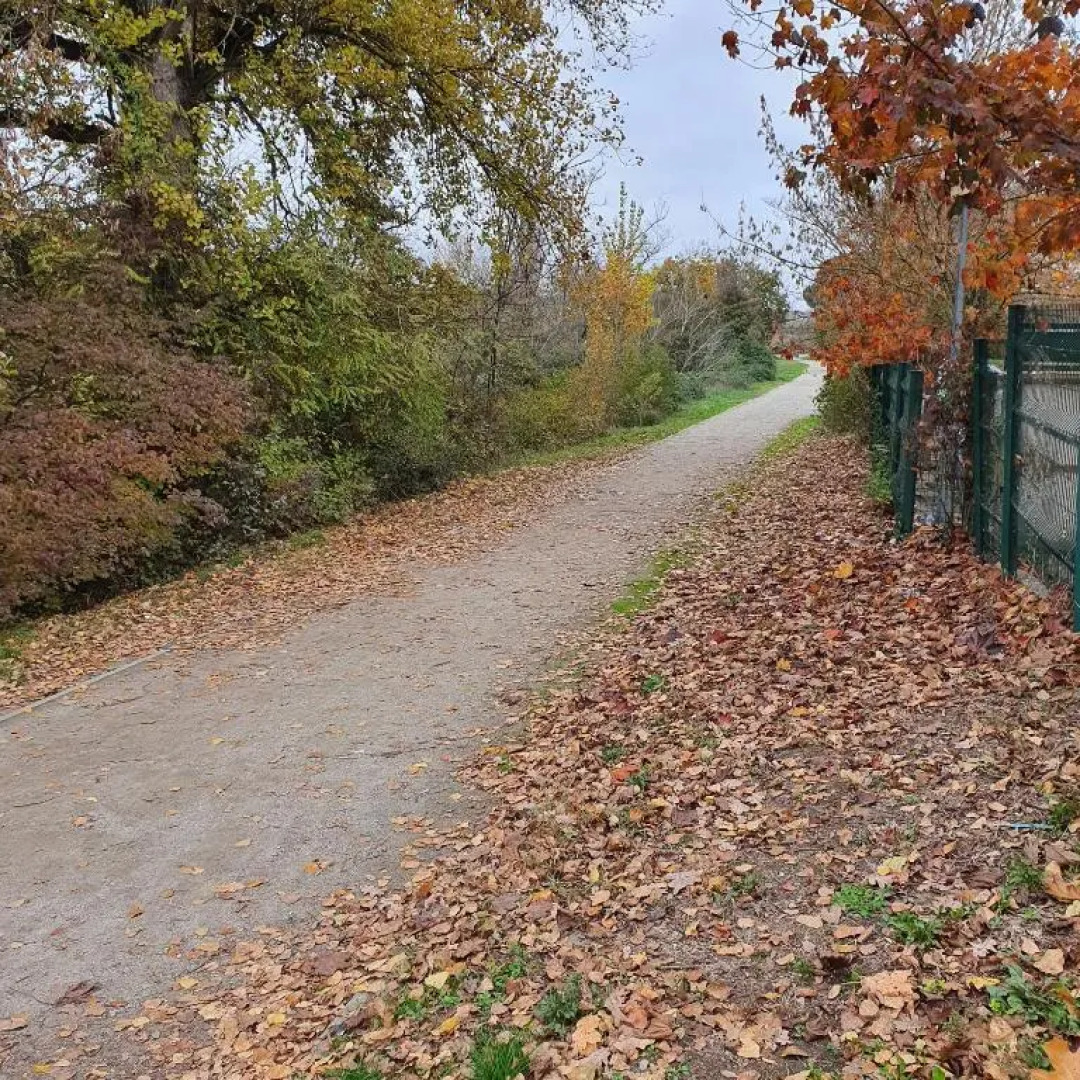 Appartement Colomiers belle vue proche des commodités avec piscine résidentielle