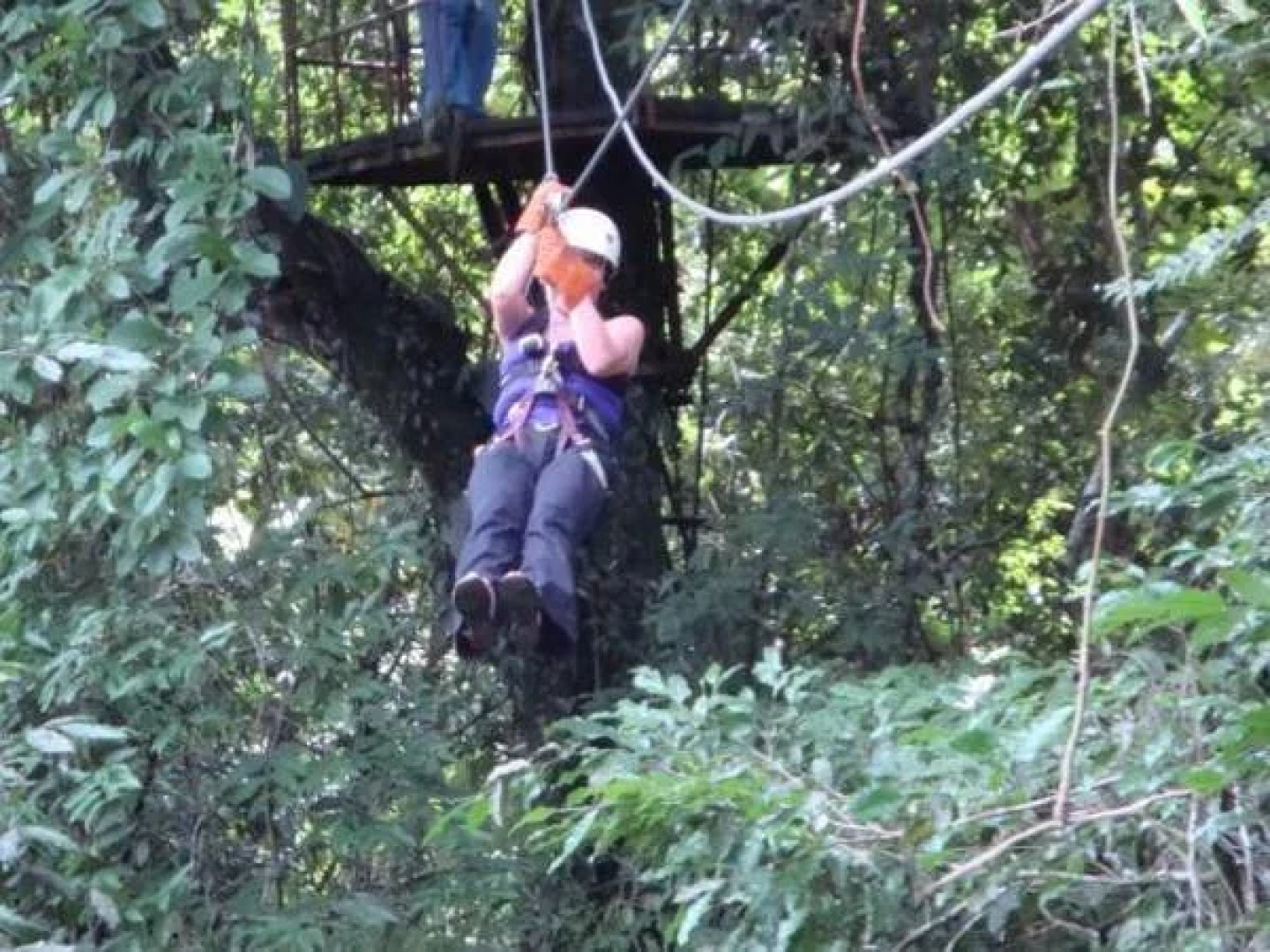 Desarollo Ecoturistico Kolem Jaa